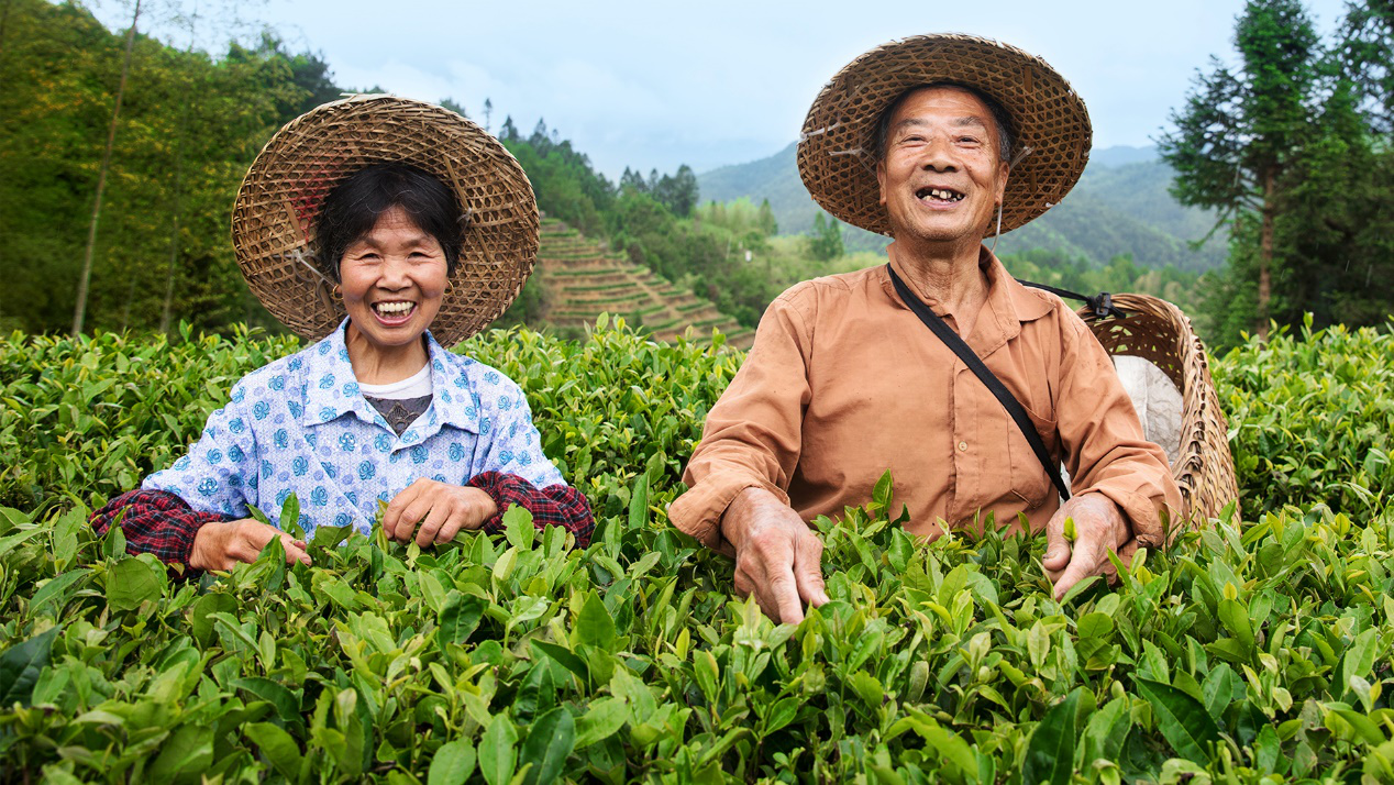“振興中國好茶公益助農行動”正式發起，小罐茶以茶助農打贏脫貧攻堅戰