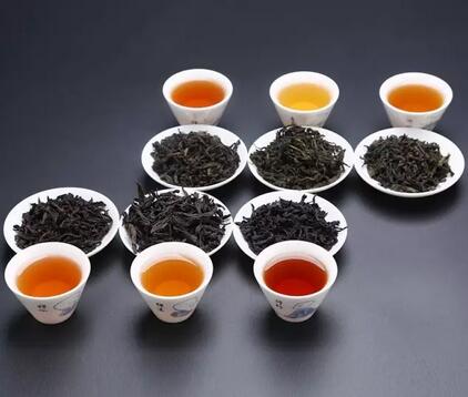 茶葉未來發展，名茶PK民茶